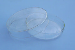 Petri Dish 120 mm / 4.7”