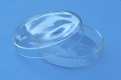 Petri Dish 90 mm
